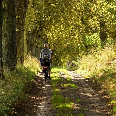 Vierseen - Ruhige Auszeit Zwischen Seen Und Mueritz Walow